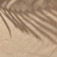 Fototapeta na wymiar Summer beach day scene with tropical palms shadow on sand background. Minimal sunlight tropical flat lay arrangement.