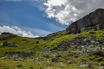 Fototapeta na wymiar mountain landscape with green plants, rocky mountains, many white clouds, Switzerland