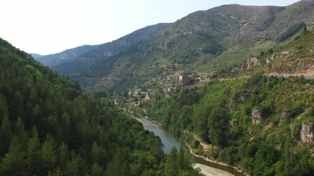 Coniferous forest along the tarn river aerial shot Prades village France lozere gorges du Tarn