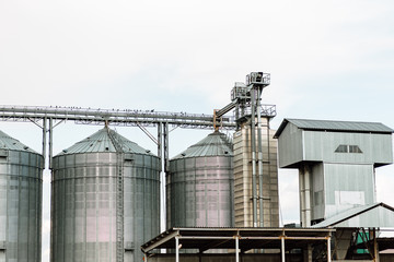 large modern plant for the storage and processing of grain crops. view of the granary on sunny day against the blue sky. end of harvest season.