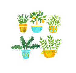 hand-drawn isolated watercolor illustration on white background. Collection of five cute green houseplants in yellow and blue turquoise pots