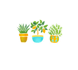 hand-drawn isolated watercolor illustration on white background. Cute green houseplants in yellow and blue turquoise pots
