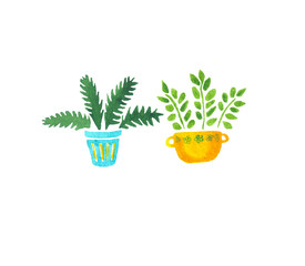 hand-drawn isolated watercolor illustration on white background. green houseplants in yellow and blue turquoise pots