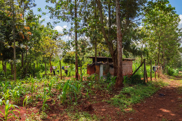 House in rural Kenya, Africa. A house in rural Kenya, Africa.