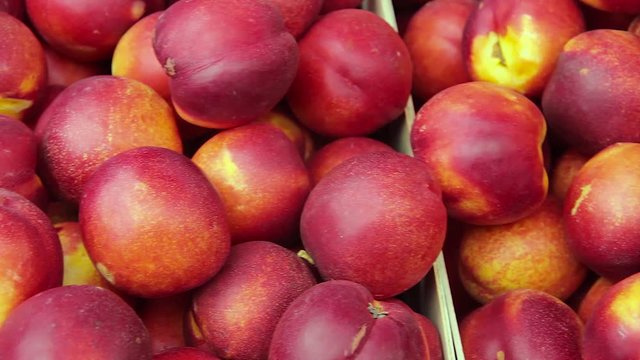fresh tasty peaches fruit at farmers. 