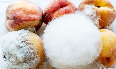 Fruits of peaches covered with white fluffy mold in a box on a light background.