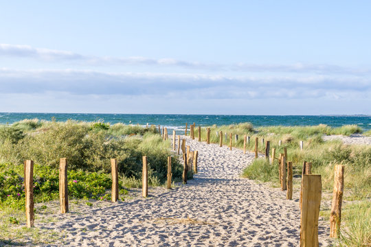 Weg zum Strand durch die D&uuml;nen
