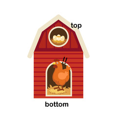 Opposite words bottom and top vector illustration