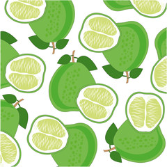 Fruit pomelo pattern on white background is insulated