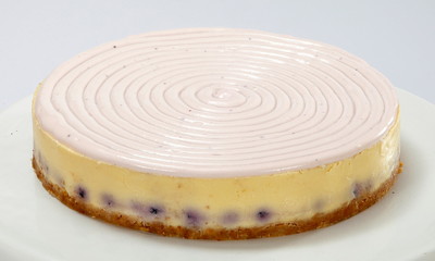 Blueberry Sourcream Cheese Cake