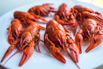 boiled crawfish on a plate