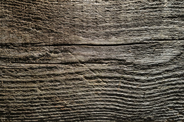 Obraz premium Old dry tree, wood texture background