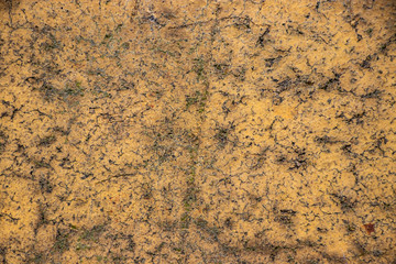 Yellow Rough grunge vintage background distressed weathered dirty old texture