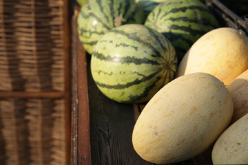 Fresh watermelons and melons on display at the market.
