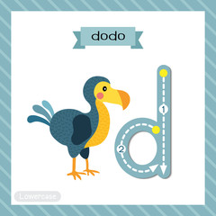 Letter D lowercase tracing. Dodo bird