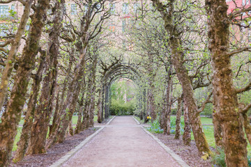 alley in the park