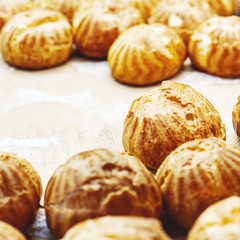 Cake profiteroles just out of the oven on parchment with a copy  space.