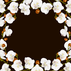 Background with  Orchids flowers. Vector illustration, EPS 10