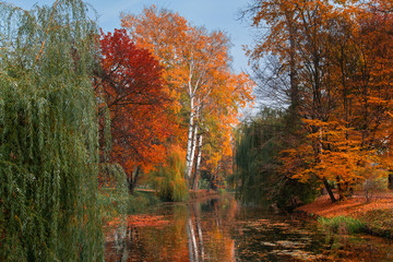 View on lake reflections of fall foliage in Ukraine