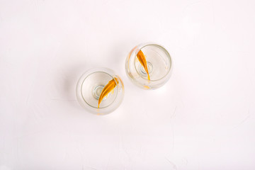 Lonely fish swim in their wine glasses. Pets are separated. Goldfish in water on a white background. Aquarium fish