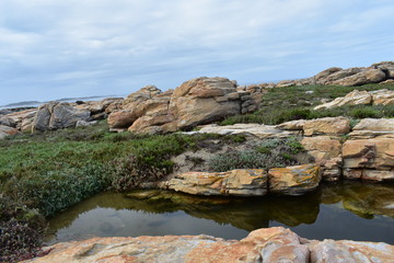 Rock pool Cape St Francis