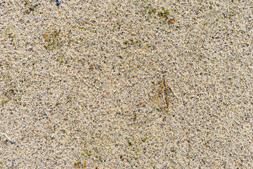 photo soil texture