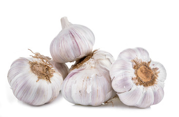 Garlic isolated on white