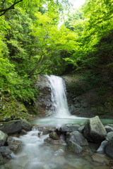 西丹沢 大滝