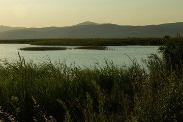 reeds in Lake Iznik at sunset