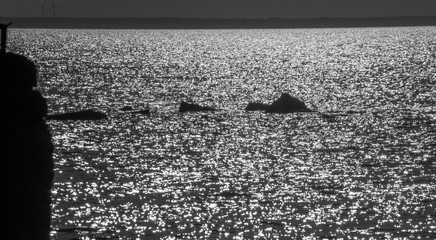 Sun glare on the sea and the old pier