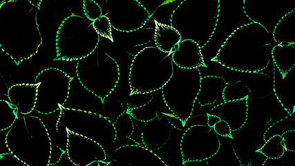 abstract fractal background