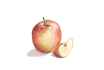red apple with a slice, lobule, watercolor illustration