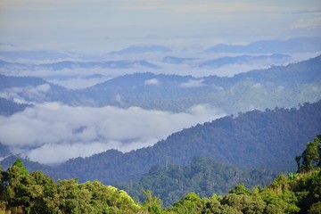 Landscape of green mountain view with Blur style : provide for insert into background base layer