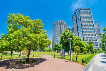 Fototapeta na wymiar 高島中央公園の風景