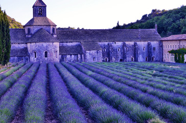 France, Provence, Senanque