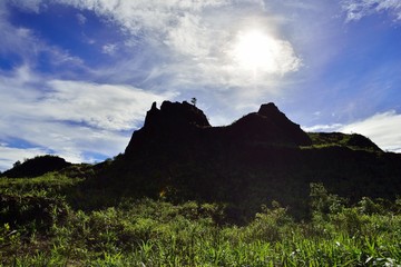 Landscape of green mountain view with Blur style : provide for insert into background base layer