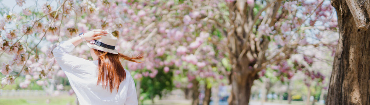 web spring season with full bloom pink flower travel concept from backside of beauty asian woman with wear summer hat enjoy with sight seeing sakura or cherry blossom with soft focus flower background