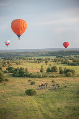 Obraz premium Colorful air balloons flying over the green field and animals using heat technology