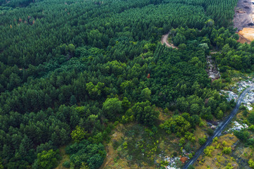 Aerial view of summer green forest with trees panorama, drone photo