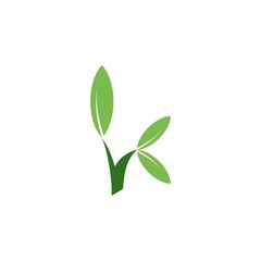Letter K with leaf logo design vector
