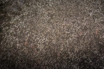 Background - Texture