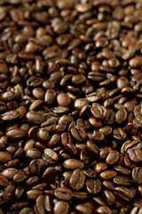 コーヒー豆