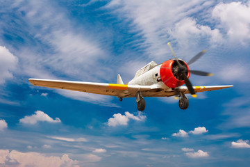Naklejka na ściany i meble Vintage aircraft flying