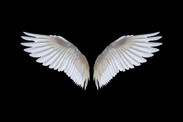 White angel wings isolated on a black background.clipping path