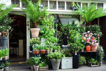 Fototapeta na wymiar Flower shop with many plants as display