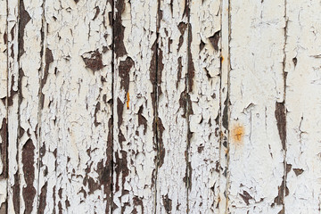 Obraz premium old planks whose white paint falls off