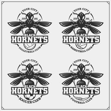 Volleyball, basketball, soccer and football logos and labels. Sport club emblems with hornet. Print design for t-shirts.