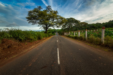 Road with trees at both side- Coimbatore Tamil Nadu India