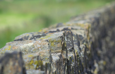 dry stone wall close up