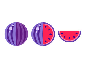 Violet Watermelon vector illustration isolated white background. Happy National water melon day. Fruity paint textured pieces, whole summer food for pattern t shirt print, nutrition decoration, banner